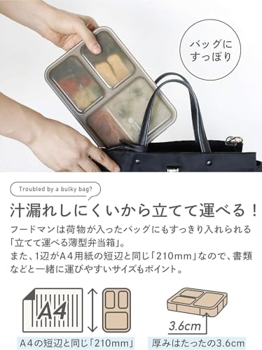 C B J A P A N 弁当箱 立てて運べる 薄型弁当箱 600ml [ 抗菌 ] グレー ベージュ 汁漏れしにくい W シーリング 4点ロックでしっかり固定 D S K